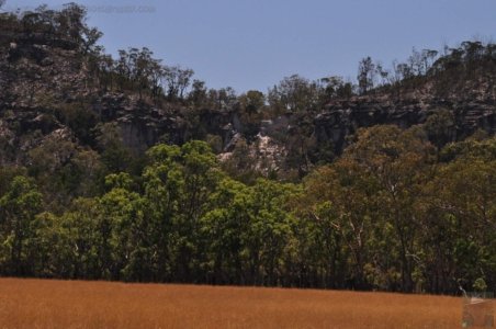 Carnarvon NP Marlong Plain.007 11h06m04s2020 11 21