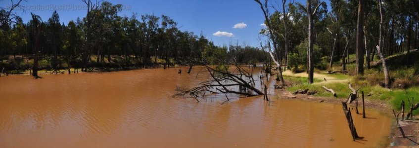 Dogwood Creek Gil Weir Dogwood Creek Gil Weir