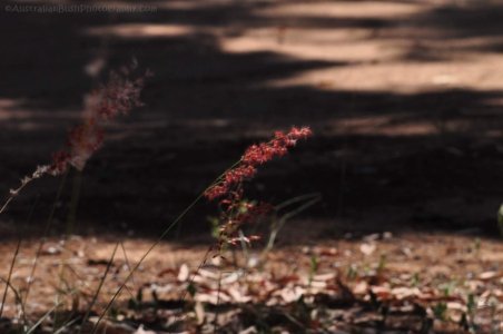 Gil Weir Miles.013 13h53m28s2020 11 15 Gil Weir Miles.013 13h53m28s2020 11 15