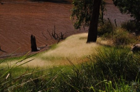 Gil Weir Miles.014 14h47m30s2020 11 15 Gil Weir Miles.014 14h47m30s2020 11 15