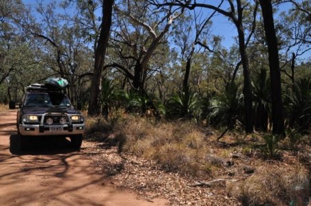 Carnarvon NP Fern Grove.003 10h54m43s2020 11 22
