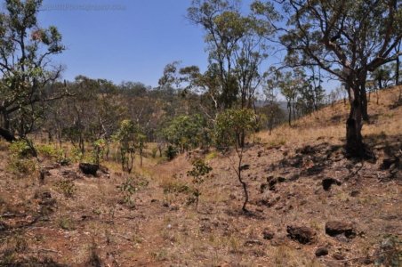 Carnarvon NP Head of Carnarvon Creek.002 11h47m55s2020 11 22