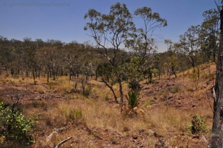 Carnarvon NP Head of Carnarvon Creek.004 11h52m00s2020 11 22