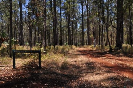 Carnarvon NP Mahogany Forest.005 12h02m44s2020 11 22