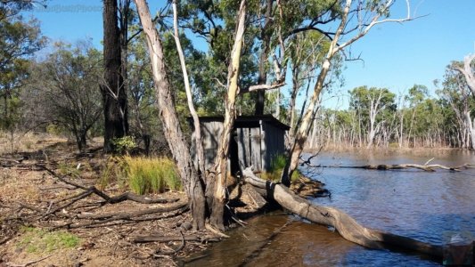 20201129 075843 20201129 075843