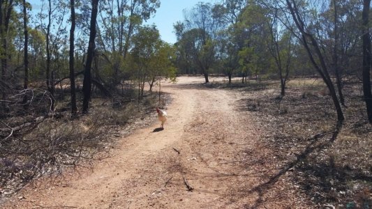 20201129 083127 20201129 083127