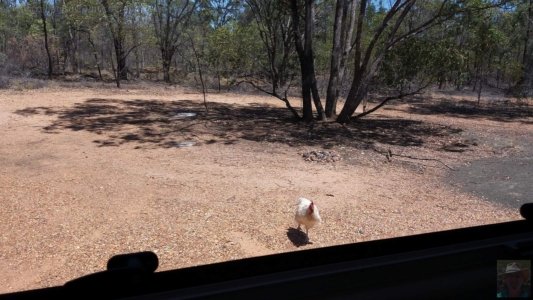 20201129 101403 20201129 101403