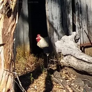 20201129 135205 20201129 135205