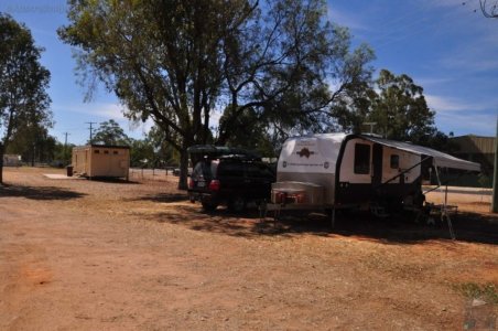 Chinchilla2020.001 14h54m29s2020 11 29 Chinchilla2020.001 14h54m29s2020 11 29