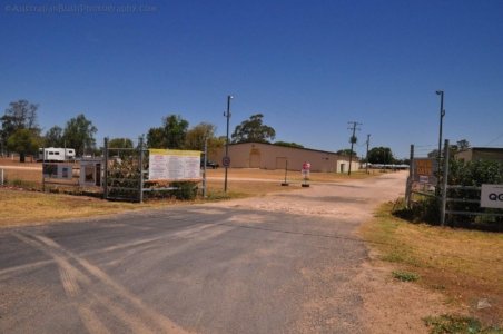 Chinchilla2020.052 13h18m10s2020 12 03 Chinchilla2020.052 13h18m10s2020 12 03