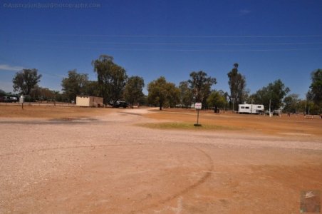 Chinchilla2020.055 13h19m19s2020 12 03 Chinchilla2020.055 13h19m19s2020 12 03