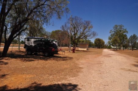 Chinchilla2020.056 13h20m37s2020 12 03 Chinchilla2020.056 13h20m37s2020 12 03