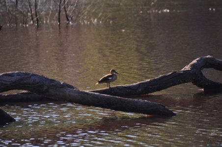 The Maryanne.013 16h44m35s2020 11 28 The Maryanne.013 16h44m35s2020 11 28