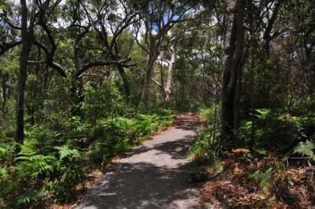 Carlo Sandblow Rainbow Beach 002 DSC 0120 Carlo Sandblow Rainbow Beach 002 DSC 0120