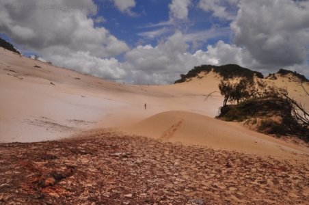 Carlo Sandblow Rainbow Beach 020 DSC 0138 Carlo Sandblow Rainbow Beach 020 DSC 0138