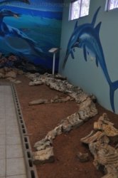 Boulia 049 DSC 0260 Boulia 049 DSC 0260