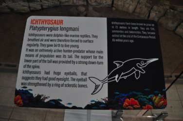 Boulia 050 DSC 0261 Boulia 050 DSC 0261