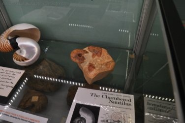 Boulia 054 DSC 0265 Boulia 054 DSC 0265