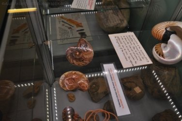 Boulia 055 DSC 0266 Boulia 055 DSC 0266