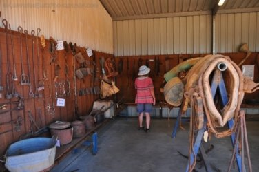 Boulia 058 DSC 0269 Boulia 058 DSC 0269