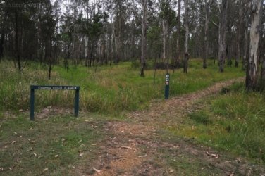 Eugenia Circuit Jimna State Forest 001 DSC 0198 Eugenia Circuit Jimna State Forest 001 DSC 0198