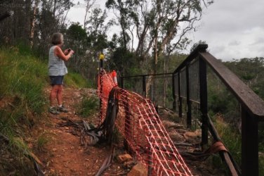 Eugenia Circuit Jimna State Forest 049 DSC 0246 Eugenia Circuit Jimna State Forest 049 DSC 0246