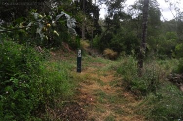 Eugenia Circuit Jimna State Forest 057 DSC 0254 Eugenia Circuit Jimna State Forest 057 DSC 0254