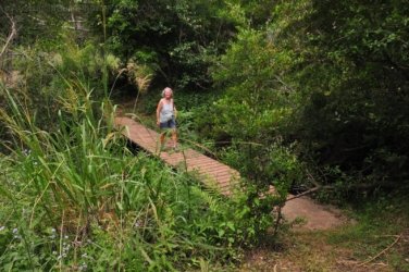 Eugenia Circuit Jimna State Forest 073 DSC 0270 Eugenia Circuit Jimna State Forest 073 DSC 0270