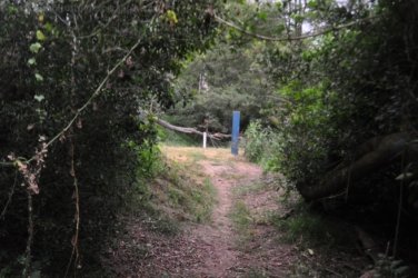 Eugenia Circuit Jimna State Forest 088 DSC 0285 Eugenia Circuit Jimna State Forest 088 DSC 0285