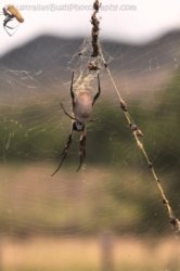 Glen Rock State Forest 001 DSC 0469 Glen Rock State Forest 001 DSC 0469