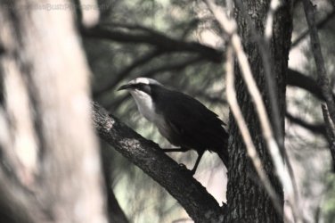 Glen Rock State Forest 025 DSC 0495 Glen Rock State Forest 025 DSC 0495