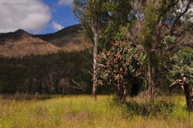 Glen Rock State Forest 042 DSC 0513 Glen Rock State Forest 042 DSC 0513