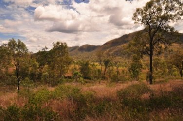 Glen Rock State Forest 047 DSC 0518 Glen Rock State Forest 047 DSC 0518