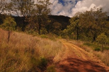 Glen Rock State Forest 048 DSC 0519 Glen Rock State Forest 048 DSC 0519