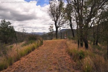 Glen Rock State Forest 050 DSC 0521 Glen Rock State Forest 050 DSC 0521