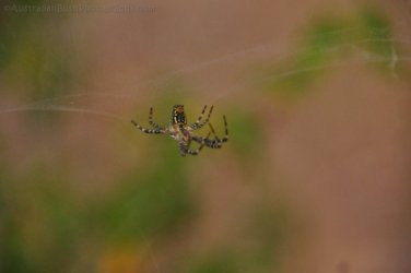Glen Rock State Forest 058 DSC 0529 Glen Rock State Forest 058 DSC 0529