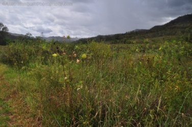 Glen Rock State Forest 076 DSC 0548 Glen Rock State Forest 076 DSC 0548