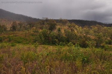 Glen Rock State Forest 084 DSC 0556 Glen Rock State Forest 084 DSC 0556