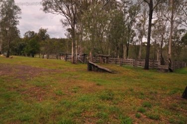 Hardings Paddock 019 DSC 0730 Hardings Paddock 019 DSC 0730