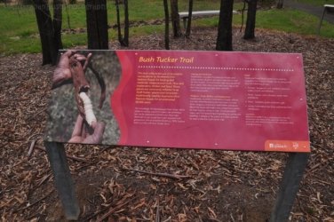 Hardings Paddock 029 DSC 0743 Hardings Paddock 029 DSC 0743