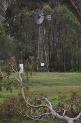 Hardings Paddock 049 DSC 0764 Hardings Paddock 049 DSC 0764