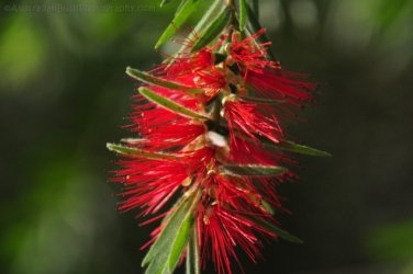 Hardings Paddock2 040 DSC 0813 Hardings Paddock2 040 DSC 0813
