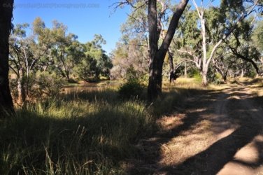 Jericho 015 DSC 0019 Jericho 015 DSC 0019