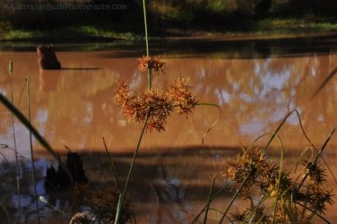 Jericho 028 DSC 0032 Jericho 028 DSC 0032