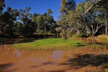 Jericho 029 DSC 0033 Jericho 029 DSC 0033