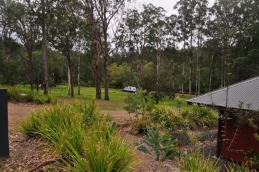 Jimna State Forest 013 DSC 0188 Jimna State Forest 013 DSC 0188