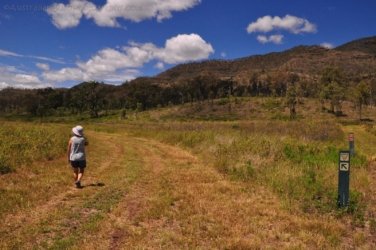 Lookout Walk Glen Rock State Forest 003 DSC 0579 Lookout Walk Glen Rock State Forest 003 DSC 0579