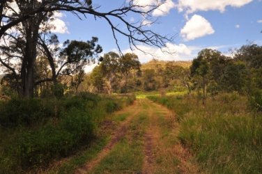 Lookout Walk Glen Rock State Forest 008 DSC 0584 Lookout Walk Glen Rock State Forest 008 DSC 0584