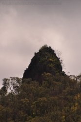 Lookout Walk Glen Rock State Forest 016 DSC 0601 Lookout Walk Glen Rock State Forest 016 DSC 0601