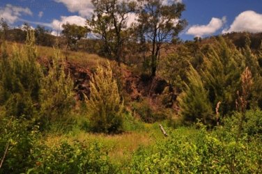 Lookout Walk Glen Rock State Forest 018 DSC 0603 Lookout Walk Glen Rock State Forest 018 DSC 0603